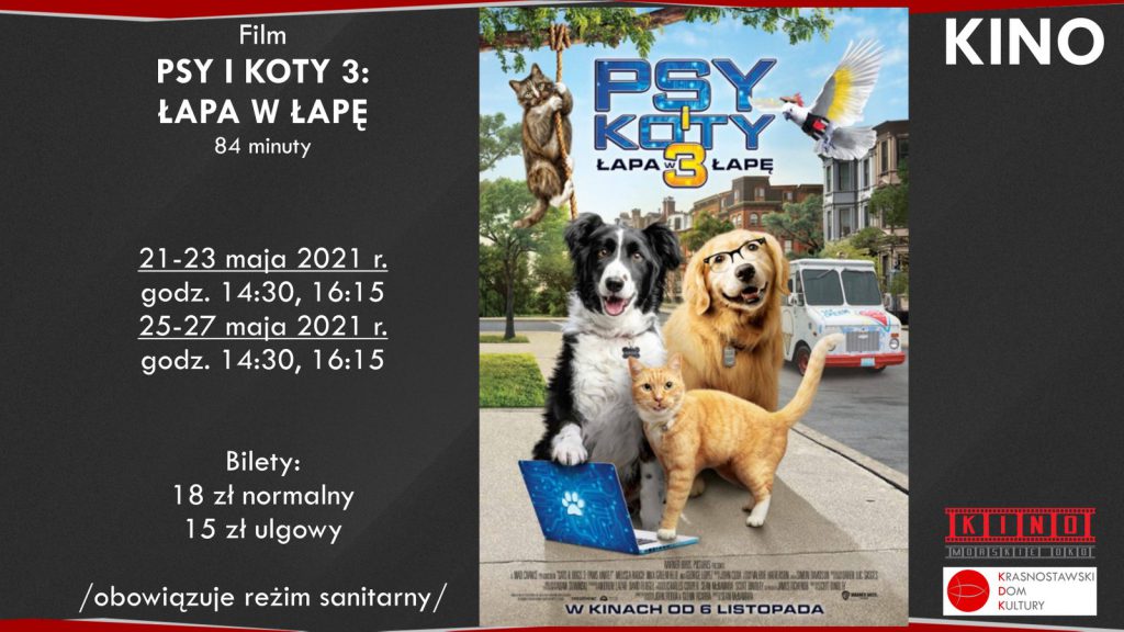 Psy i Koty 3 | Krasnystaw