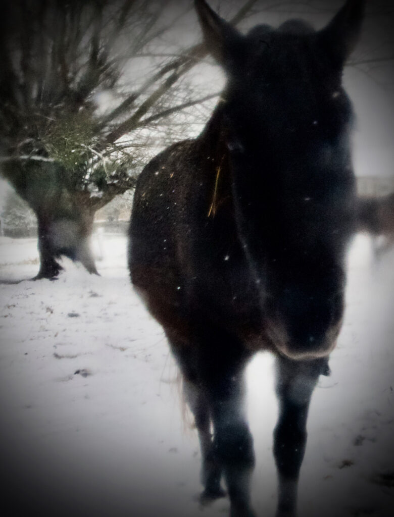 Duchowość Pogranicza Wojsławice