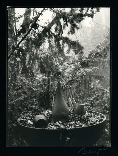 Kontakty. Czas Natury. Czas drzewa - Chełm