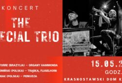 The Special Trio