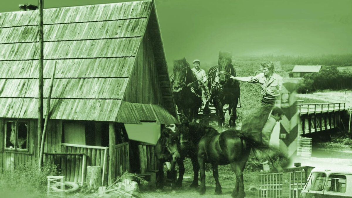 Sokoliki. Ludzie bieszczadzkiego lasu II Bieszczady