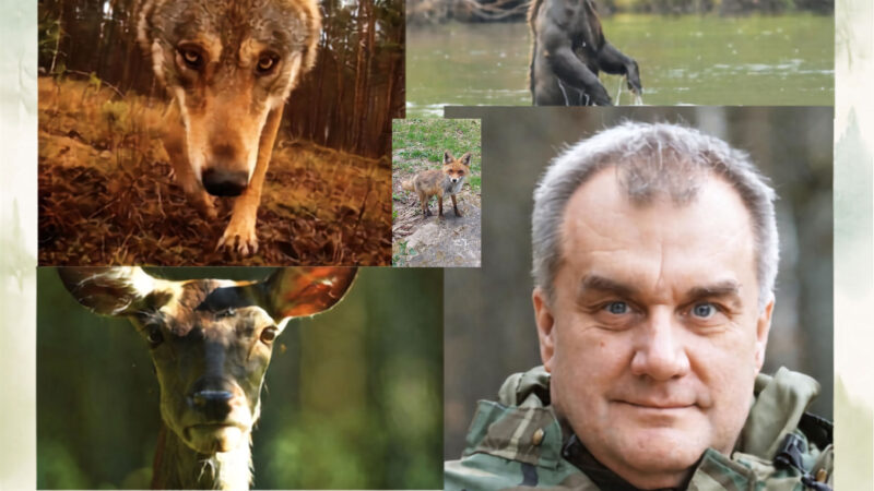Marcin Kostrzyński